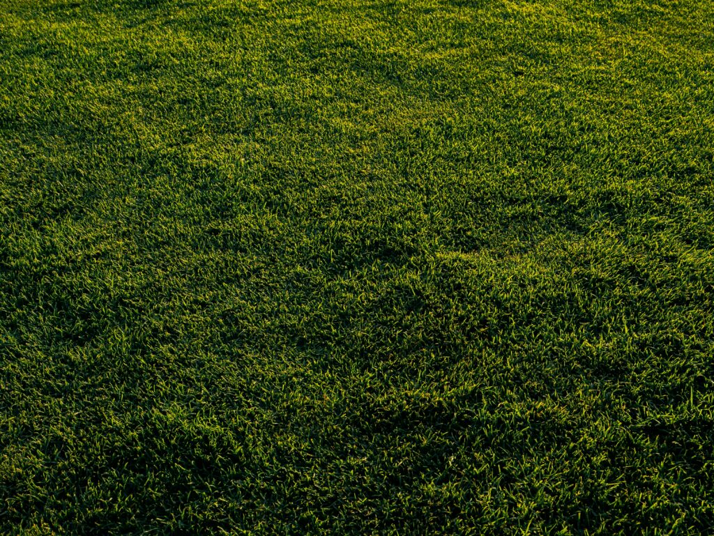 Landscape Maintenance