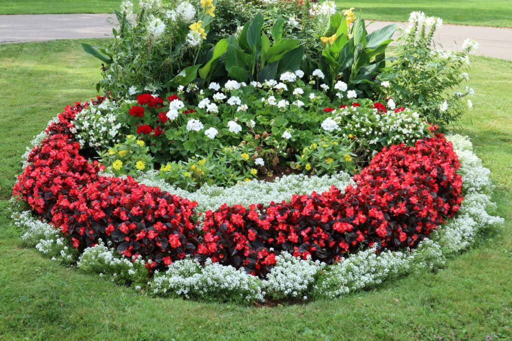 Landscape Design