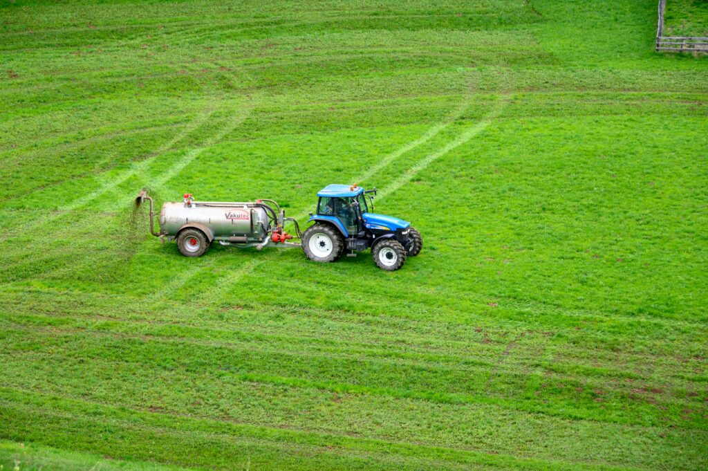 Lawn Health (Weed & Feed)