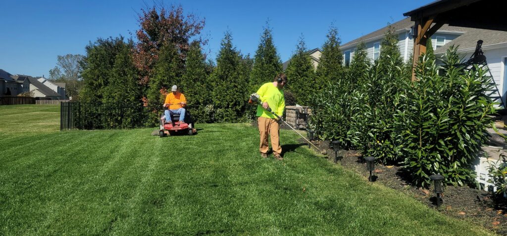 Lawn Mowing